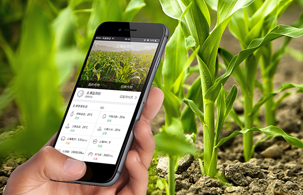 智慧農(nóng)業(yè)